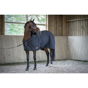 Paddock Padded stable rug