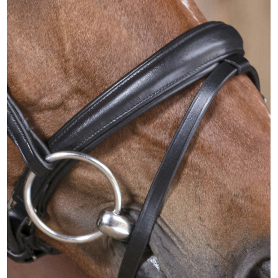 Bridle Norton Pro Soft - Leather Bridles - PADD