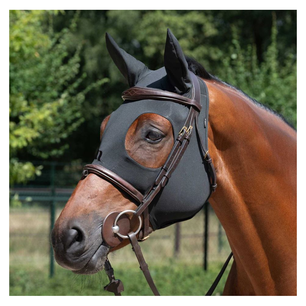 Back On Track Werano Halter - Equestrian Roots