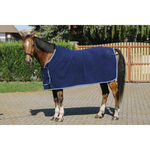 Chemise de présentation Riding World