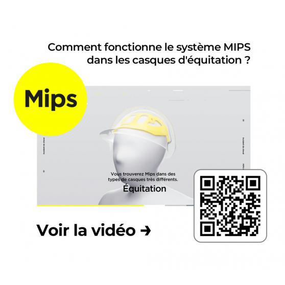 EQUITHÈME Wings MIPS mat Reithelm