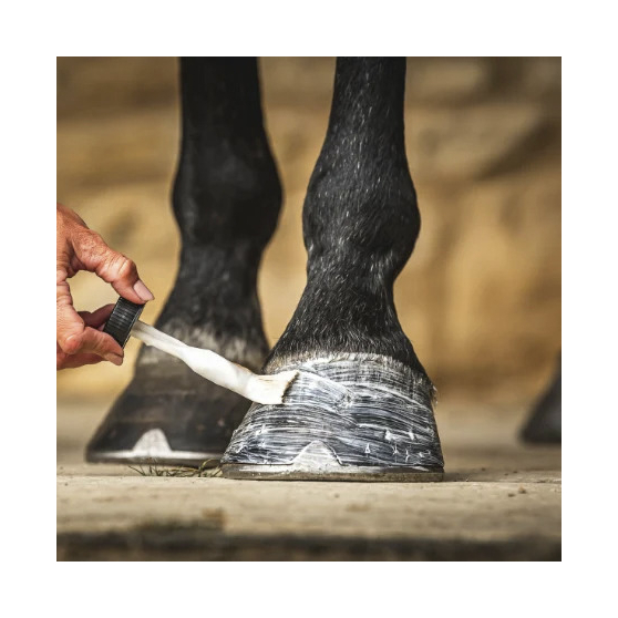 Baume pour sabots Carr & Day & Martin Cornucrescine Daily Hoof Moisturiser