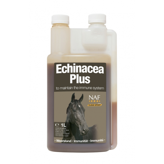 Immune system support NAF Echinacea Plus