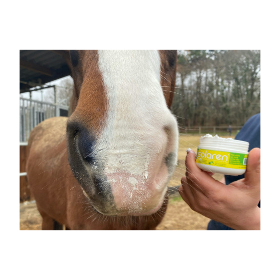 Animaderm Solaren™ Sun Protection Cream