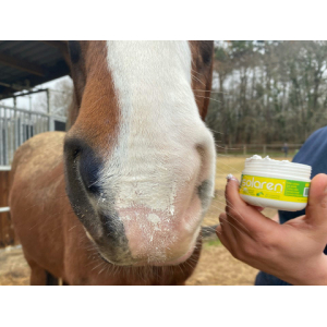 Animaderm Solaren™ Sun Protection Cream