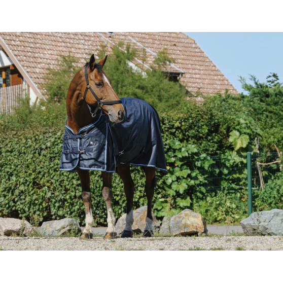 Riding World Eco 600D Rug - Standard