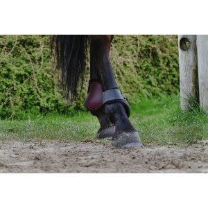 Riding World Fetlock boots