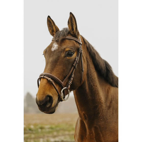 Norton Club Strass V Bridle