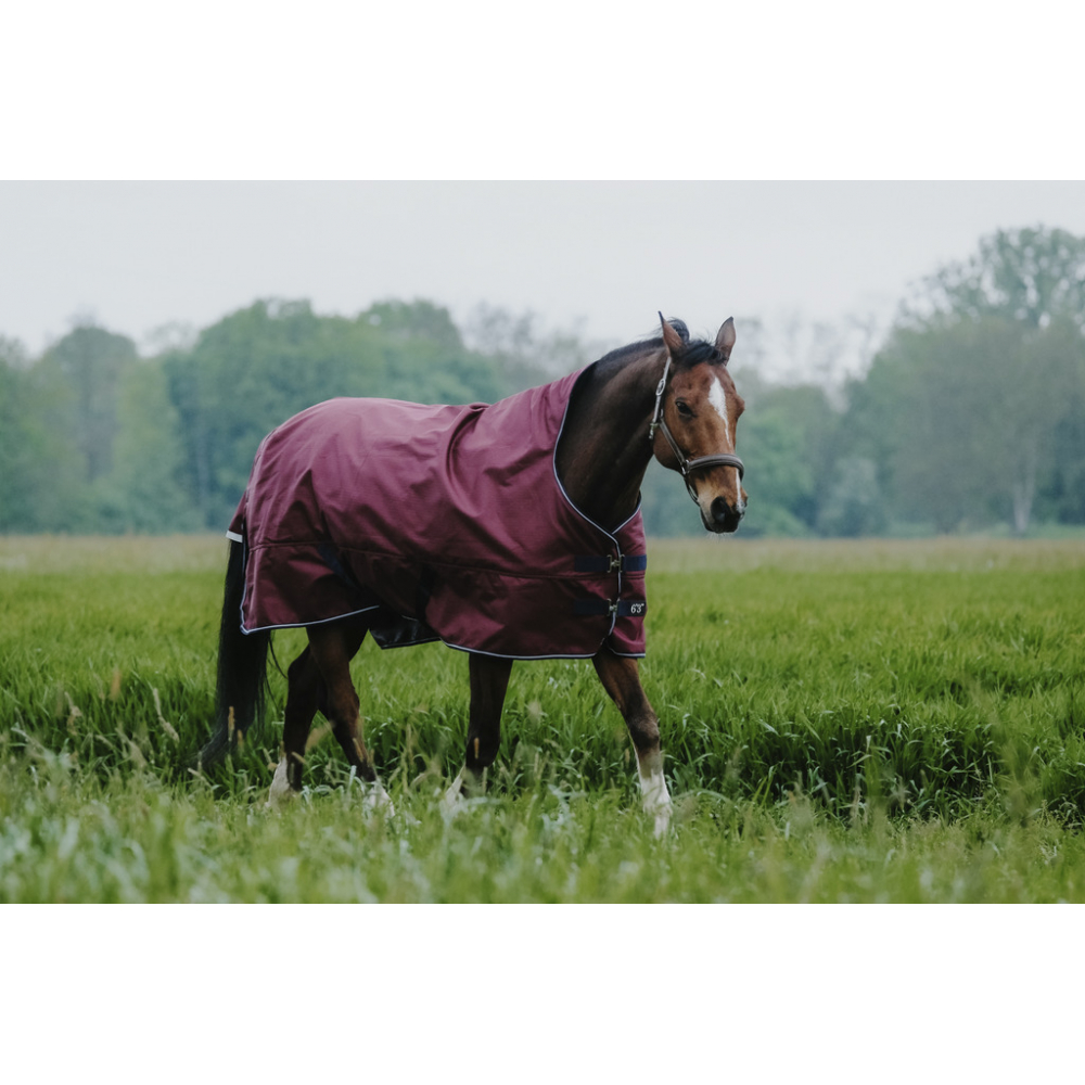 Chemise EQUITHÈME Tyrex 1200 D