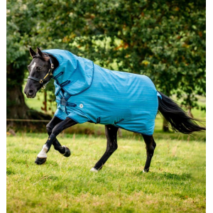 Horseware Amigo Hero 900D Revive Plus Rug