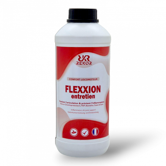 Flexxion Entretien Rekor