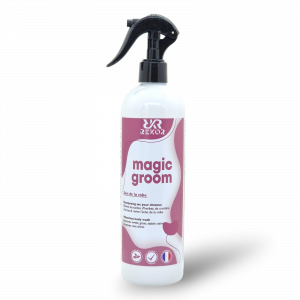 Rekor Magic Groom