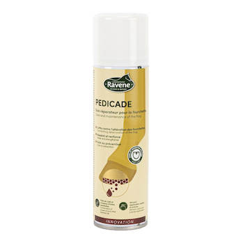 Pedicade Ravene