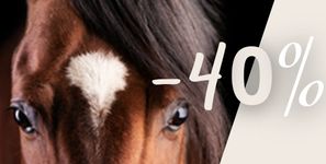 Sales -40% on padd-horsetack.com