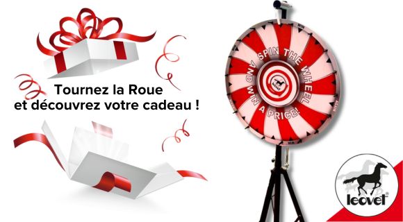 Roue Leovet